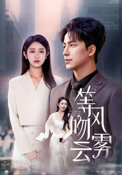 抗战剧集《望北》海报